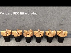 PDC BIT-4 PISAU